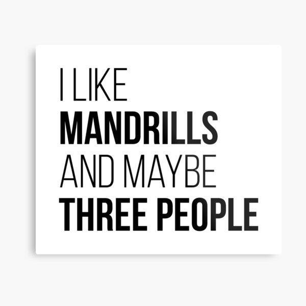 I Like Mandrills And Maybe Three People Metal Print