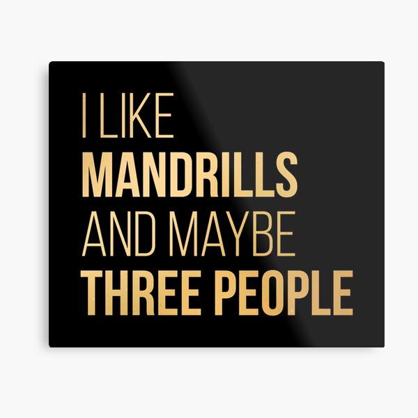I Like Mandrills And Maybe Three People in Gold Metal Print