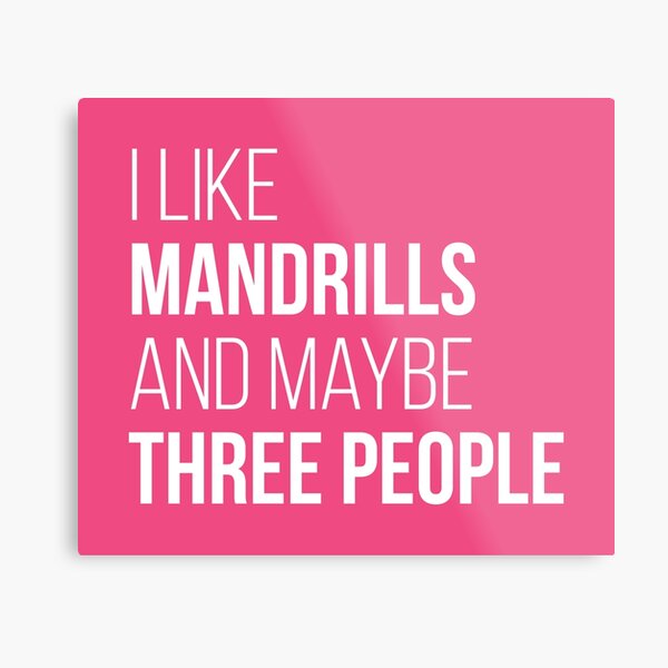 I Like Mandrills And Maybe Three People for Women Metal Print
