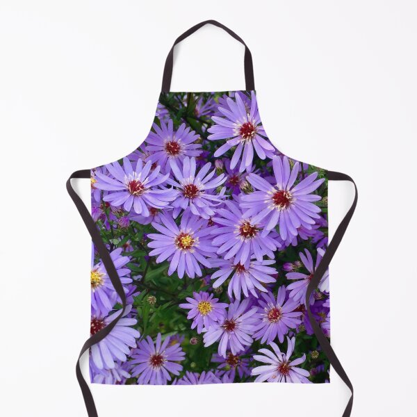 Item preview, Michaelmas Daises. “Purple Peace” Miserden Gardens, Miserden,Gloucestershire. designed and sold by Angela Haig-Harrison.