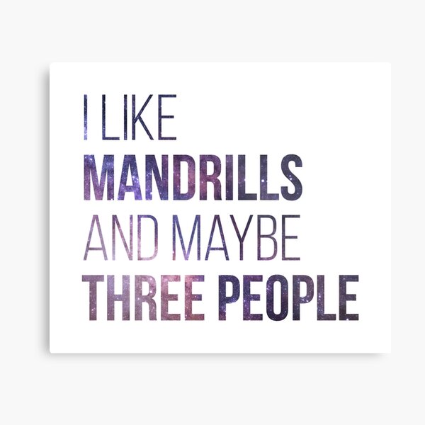 I Like Mandrills And Maybe Three People Metal Print