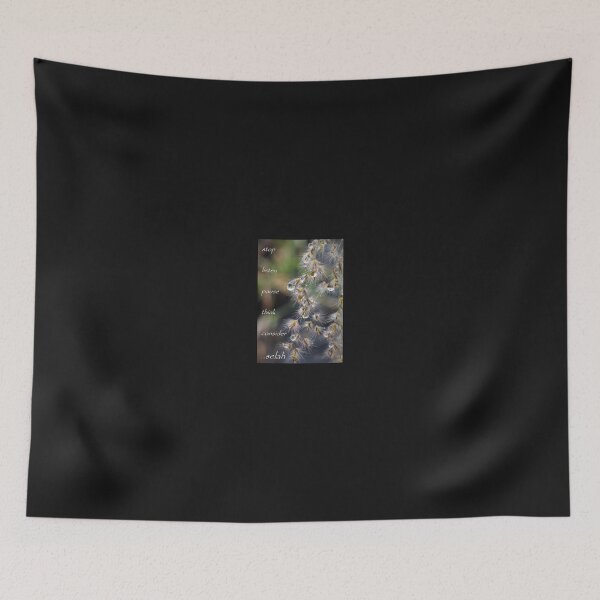 Item preview, Selah designed and sold by Selah Images.