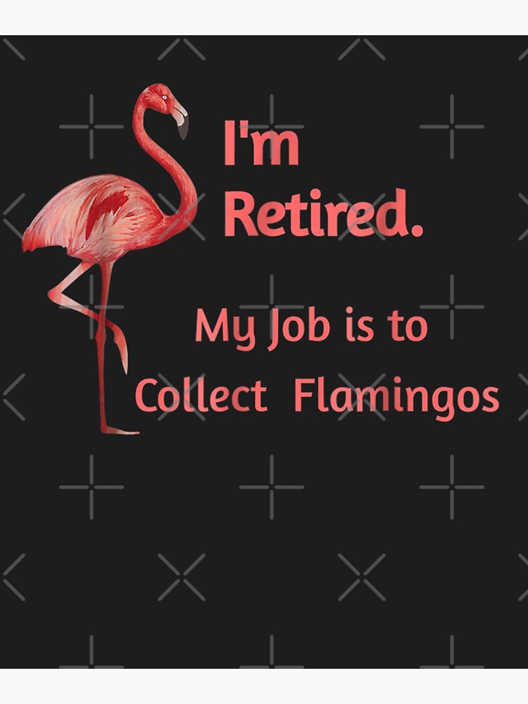 Retiring Style: Pink Flamingo Dress