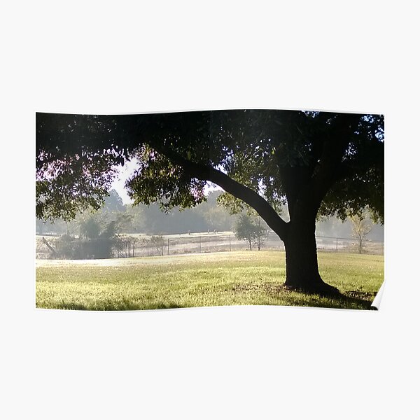 Post Office View Poster