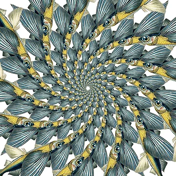 Artwork thumbnail, Fish Pattern by patternarium