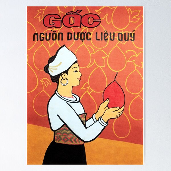 Item preview, Gac Fruit Precious Medicinal Herbs; Vietnamese Fresh Produce Promotion designed and sold by retroposters.