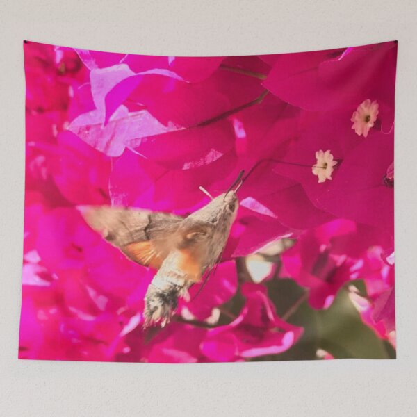 Item preview, Hawk Moth on Bougainvillea designed and sold by PaolinoDesigns.
