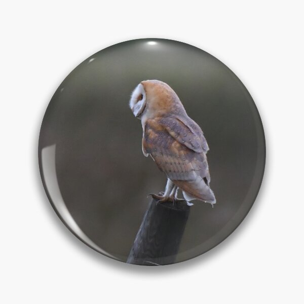 Item preview, barn owl designed and sold by tammy mellor.