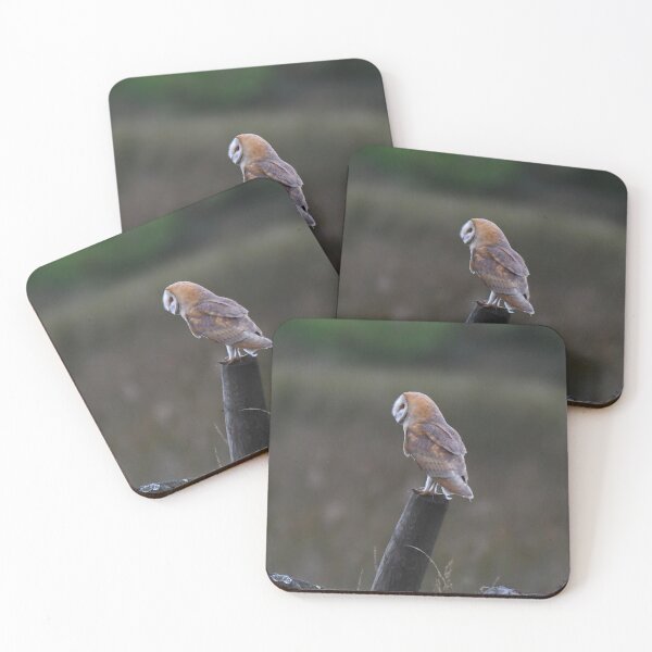 Item preview, barn owl designed and sold by tammy mellor.
