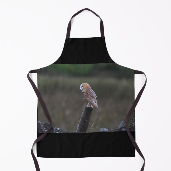 Item preview, barn owl designed and sold by tammy mellor.