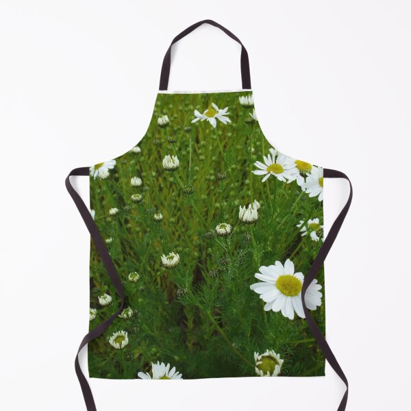Item preview, Daisies 1 designed and sold by MeyrellesMartin.