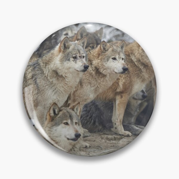 Item preview, Wolf pack designed and sold by SilentWolf27.