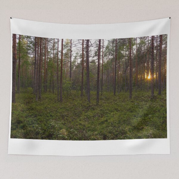 Item preview, Pine forest at sunset designed and sold by yarvin13.
