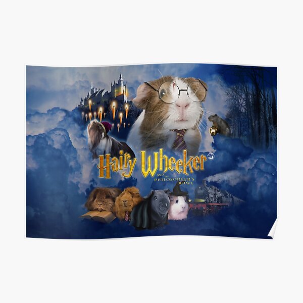 Hairy Wheeker and the Philosophers Bowl Poster