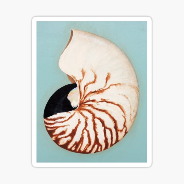 Nautilus Shell Beautiful Blue Teal Green Cephalopod Creature Painting Sticker