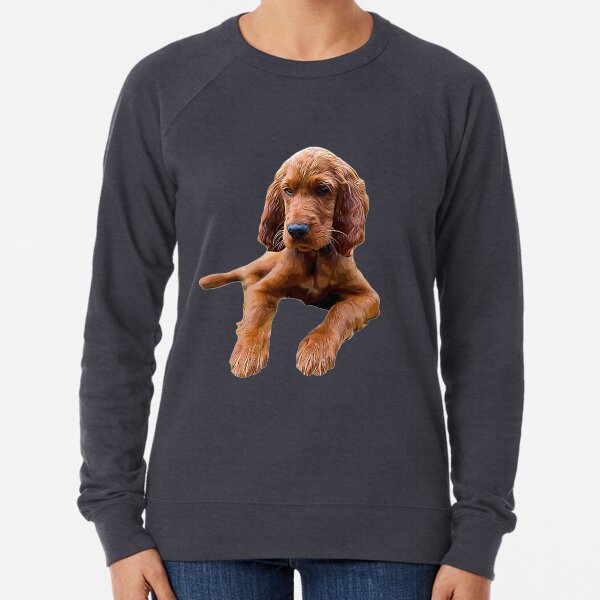 irish setter sweater