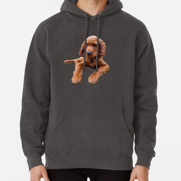 irish setter sweater