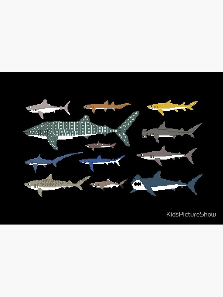 Sharks - The Kids' Picture Show by KidsPictureShow