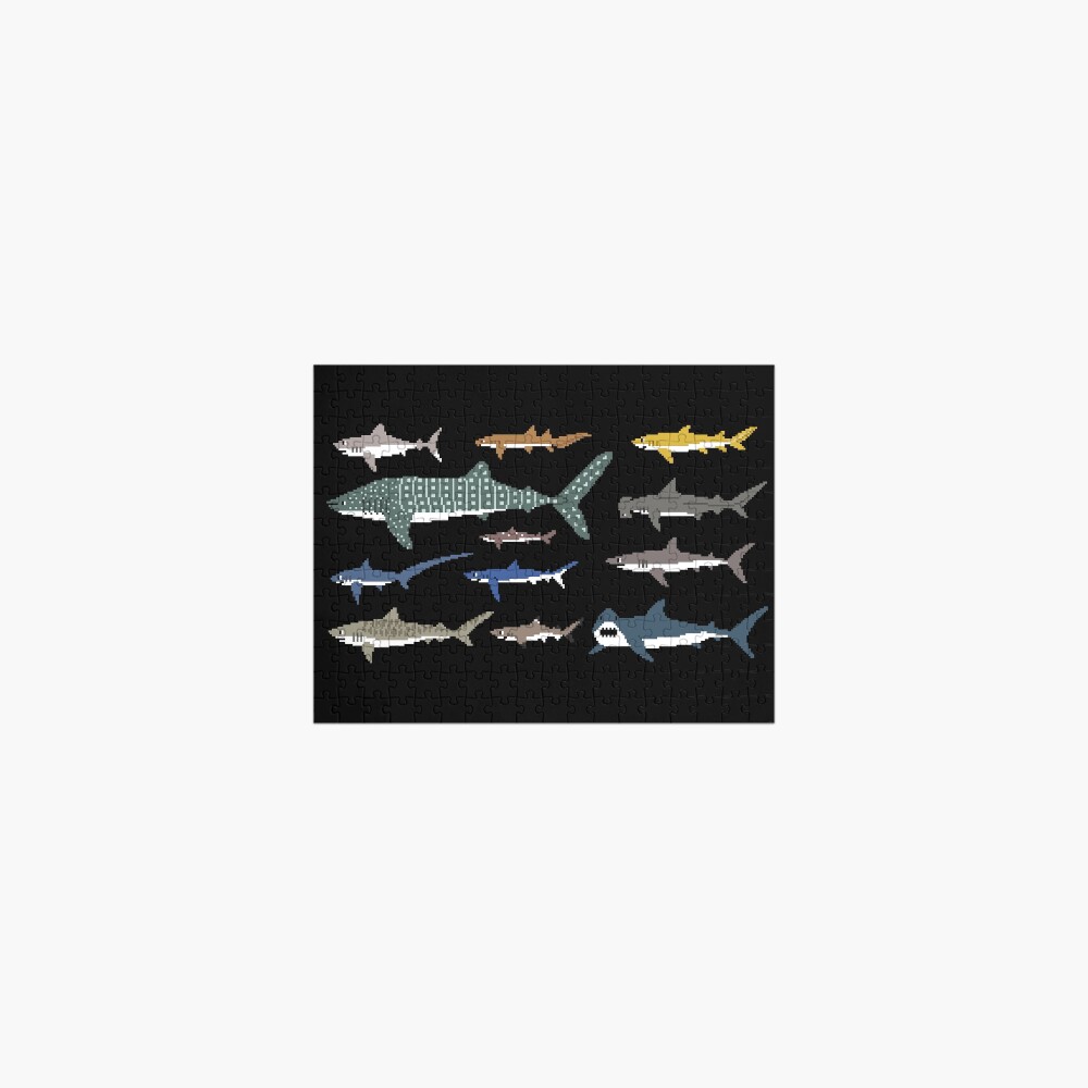 Sharks - The Kids' Picture Show Jigsaw Puzzle