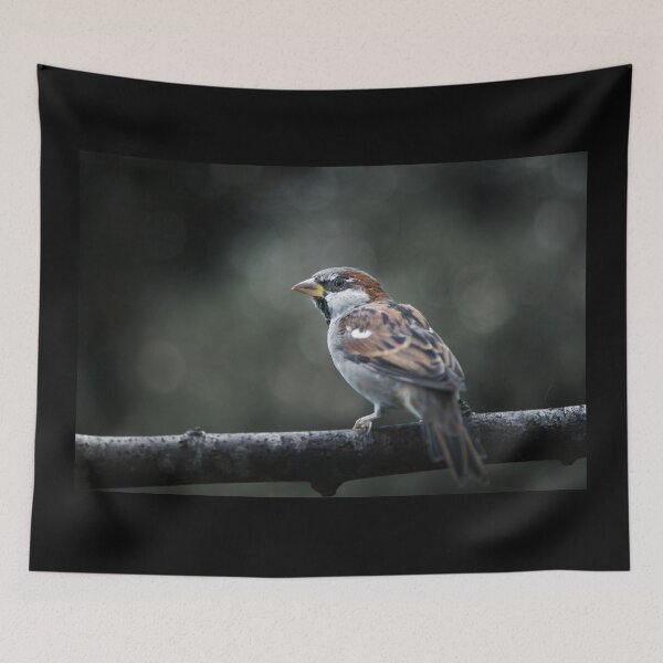 Item preview, Male House Sparrow designed and sold by Kipcio.