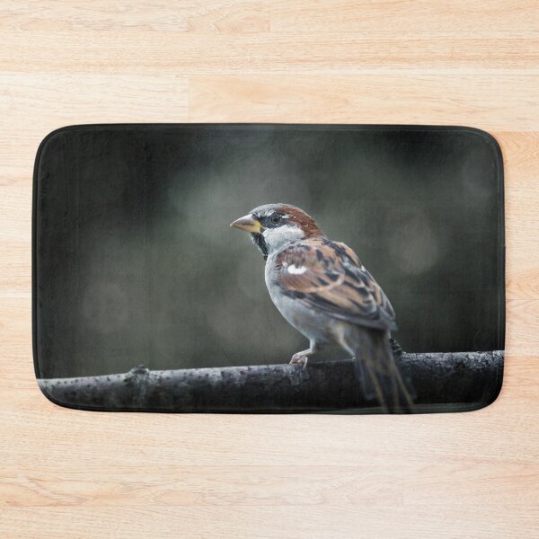 Item preview, Male House Sparrow designed and sold by Kipcio.