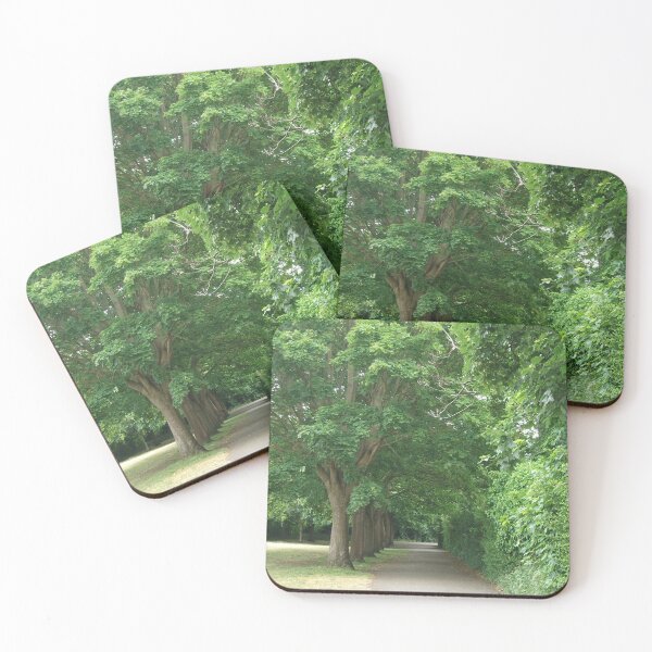 Item preview, Beautiful light with the sun shining on this stunning beautiful green trees all in the row going down the side of the walk way designed and sold by Anu Bassi.