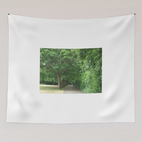 Item preview, Beautiful light with the sun shining on this stunning beautiful green trees all in the row going down the side of the walk way designed and sold by Anu Bassi.