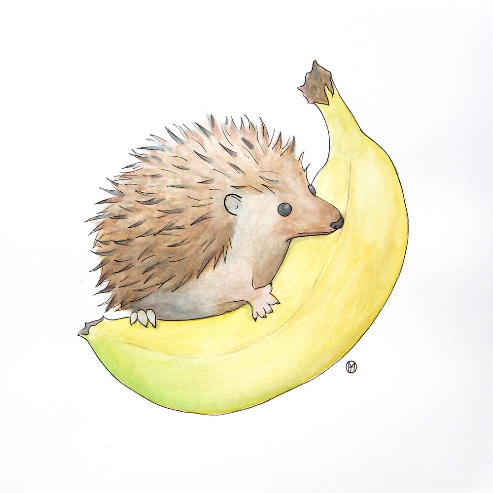 "Hedgehog & Banana" by Tim Gorichanaz Redbubble