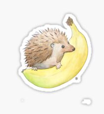 Hedgehog & Banana Sticker