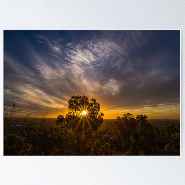 Item preview, Sunset Through The Tree - Landscape designed and sold by Neil Bushby.