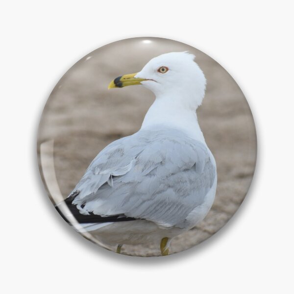 Item preview, Seagull Standing designed and sold by Kathleen Brant.
