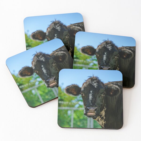 Item preview, Angus designed and sold by AylaCroft.
