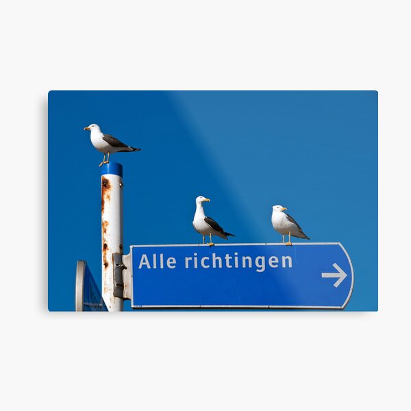 To where....? Metal Print
