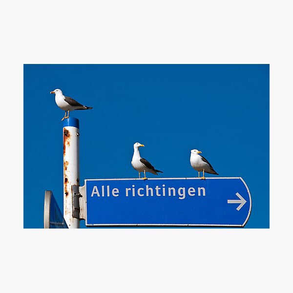 To where....? Photographic Print