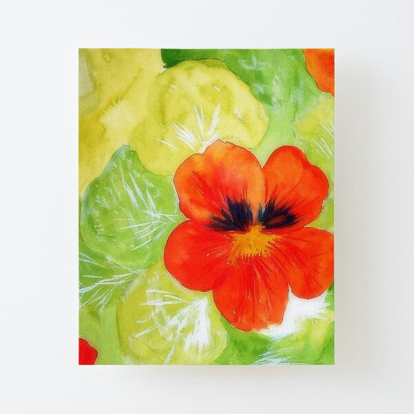 Nasturtium Canvas Mounted Print