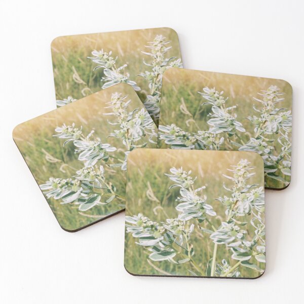Item preview, Western Kansas Flowers Print designed and sold by DavidMcJunkin.