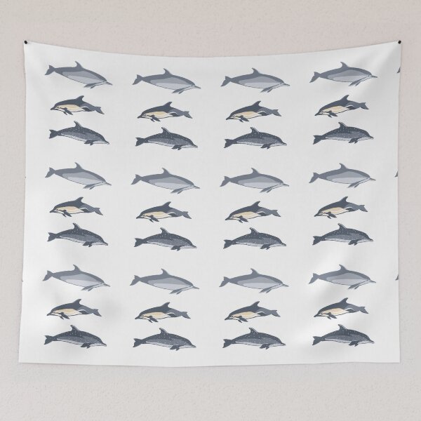Item preview, Dolphin species illustration designed and sold by KalilArt.