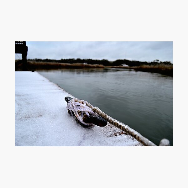 Frozen Ropes Photographic Print