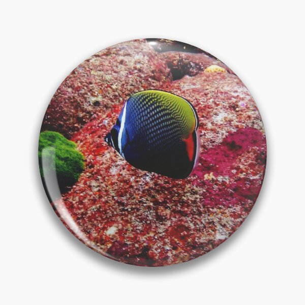 Item preview, Doctor fish designed and sold by OMdesigns93.