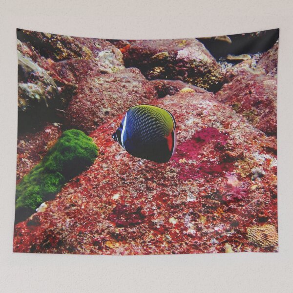 Item preview, Doctor fish designed and sold by OMdesigns93.