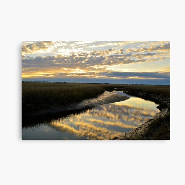 Cloudy Creek Canvas Print