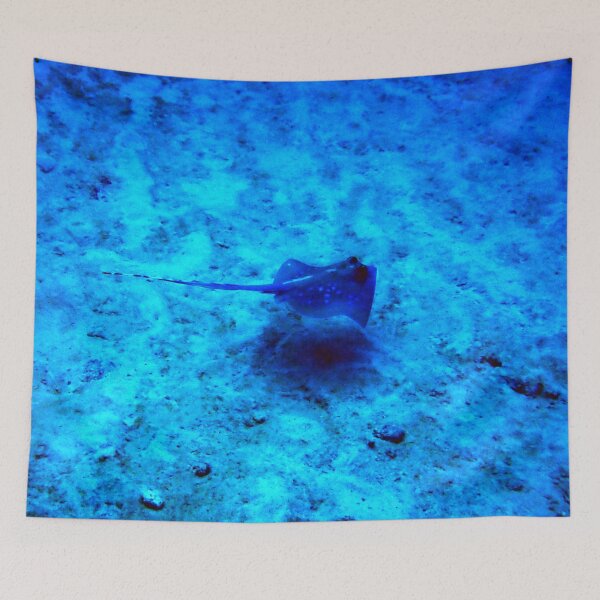 Item preview, stingray in the blue designed and sold by OMdesigns93.