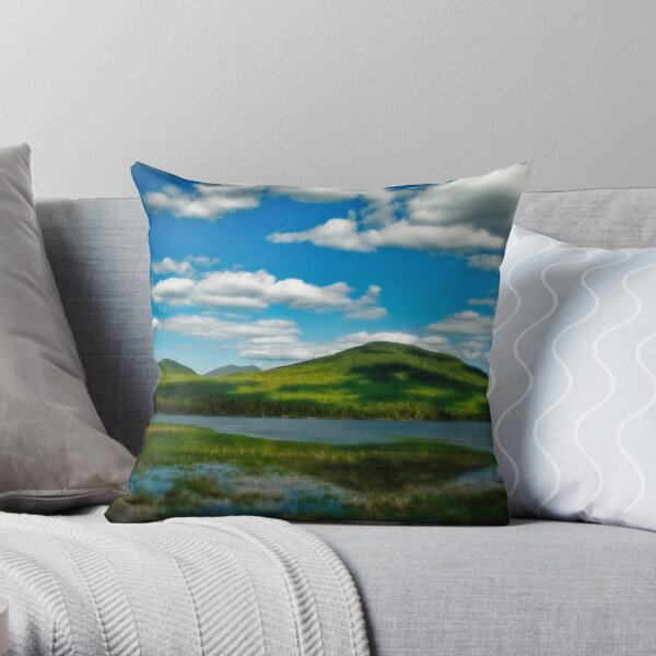 Spring in the Bigelow Mountains Throw Pillow
