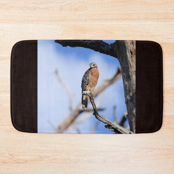 Item preview, Red-Shoulder Hawk is perched in a old dead tree designed and sold by Jeff Ore.