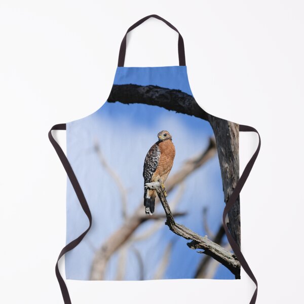 Item preview, Red-Shoulder Hawk is perched in a old dead tree designed and sold by Jeff Ore.