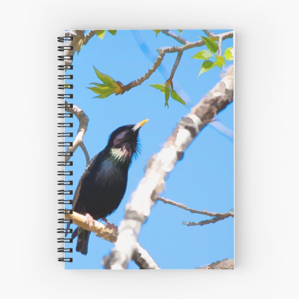 Item preview, Common Starling illustration designed and sold by CanadianWild418.