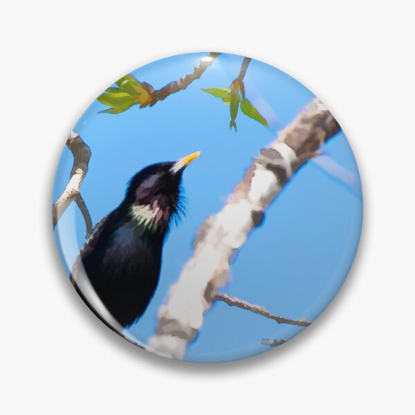 Item preview, Common Starling illustration designed and sold by CanadianWild418.