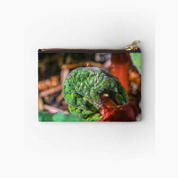 Item preview, Rhubarb bud designed and sold by CanadianWild418.