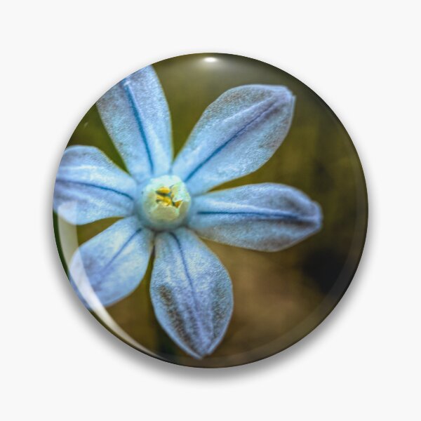 Item preview, Bloom designed and sold by CanadianWild418.