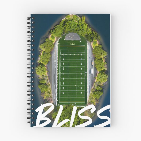 Item preview, Bliss.Enchanting island  with a football field in a scenic locale designed and sold by Moussa  Sussi.